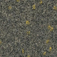 Finett Vision Focus 805553 фото 1 | FLOORDEALER