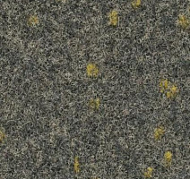 Ковролин Finett Vision Focus 805553 фото 1 | FLOORDEALER