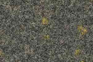 Ковролин Finett Vision Focus 805553 фото  | FLOORDEALER