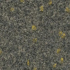 Ковролин Finett Vision Focus 805553 фото 1 | FLOORDEALER