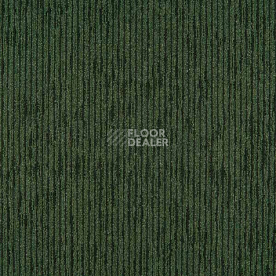 Ковровая плитка Interface Linear Tonal Aloha фото 1 | FLOORDEALER