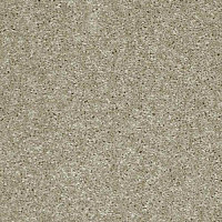 Ковролин AW Masquerade Gala 03 фото 1 | FLOORDEALER