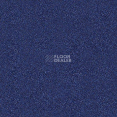 Ковровая плитка Interface Polichrome 7585 Lobelia фото 1 | FLOORDEALER