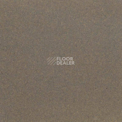 Пробковое покрытие Cork Go MF04003   Earth Tones Concrete фото 1 | FLOORDEALER
