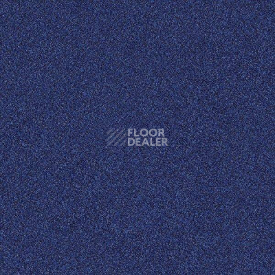 Ковровая плитка Interface Polichrome 7585 Lobelia фото 1 | FLOORDEALER