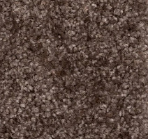 Ковролин AW Masquerade Certosa 44 фото 1 | FLOORDEALER