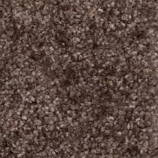 Ковролин AW Masquerade Certosa 44 фото 1 | FLOORDEALER