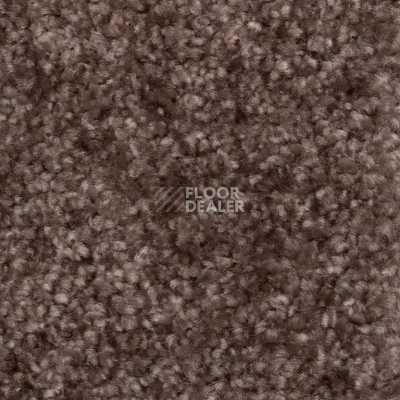 Ковролин AW Masquerade Certosa 44 фото 1 | FLOORDEALER