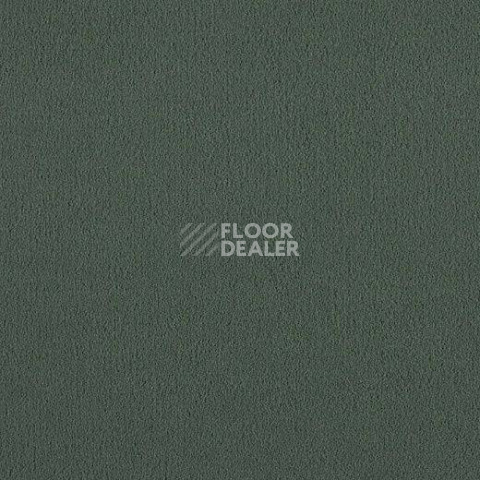 Ковролин Lano Brezina 620 фото 1 | FLOORDEALER