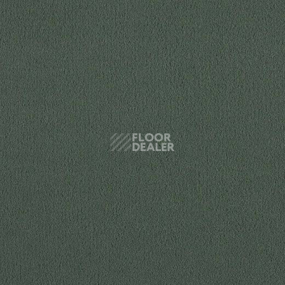 Ковролин Lano Brezina 620 фото 1 | FLOORDEALER