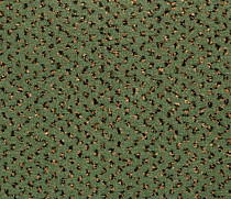 Ковролин Big Venezia 221 фото 1 | FLOORDEALER