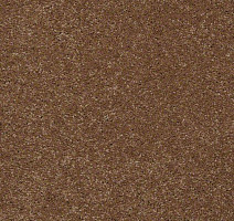 Ковролин Shaw Design Texture Platinum 709 фото 1 | FLOORDEALER