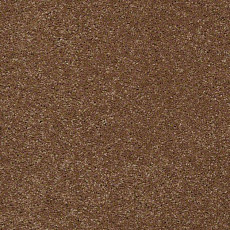 Ковролин Shaw Design Texture Platinum 709 фото 1 | FLOORDEALER