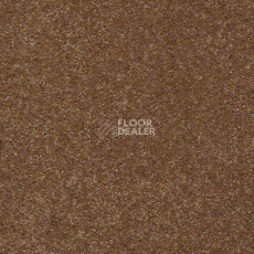 Ковролин Shaw Design Texture Platinum 709 фото 1 | FLOORDEALER