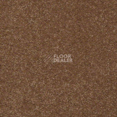 Ковролин Shaw Design Texture Platinum 709 фото 1 | FLOORDEALER