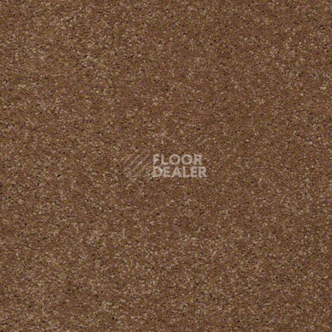 Ковролин Shaw Design Texture Platinum 709 фото 1 | FLOORDEALER