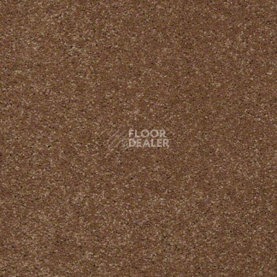 Ковролин Shaw Design Texture Platinum 709 фото 1 | FLOORDEALER