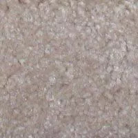 Ковролин Hidden Treasure Beaulie of America Cameo Beige 30 фото  | FLOORDEALER