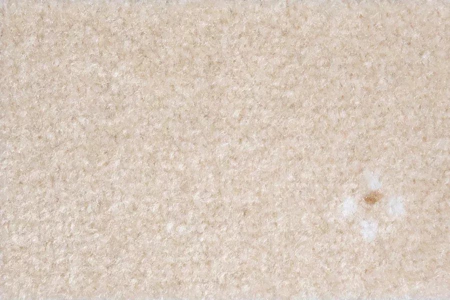 AW Animo AW Animo 34 фото 2 | FLOORDEALER