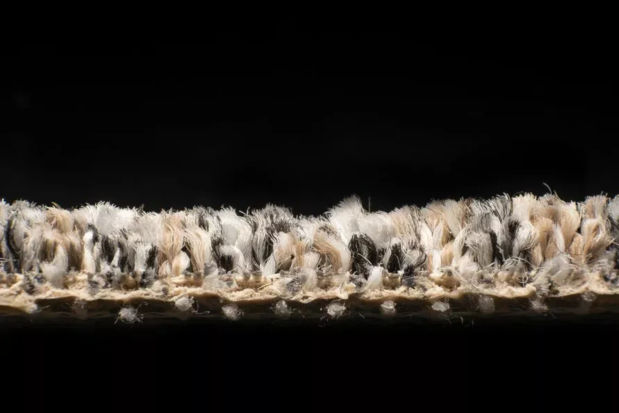 AW Stainaway Tweed 96 фото 4 | FLOORDEALER