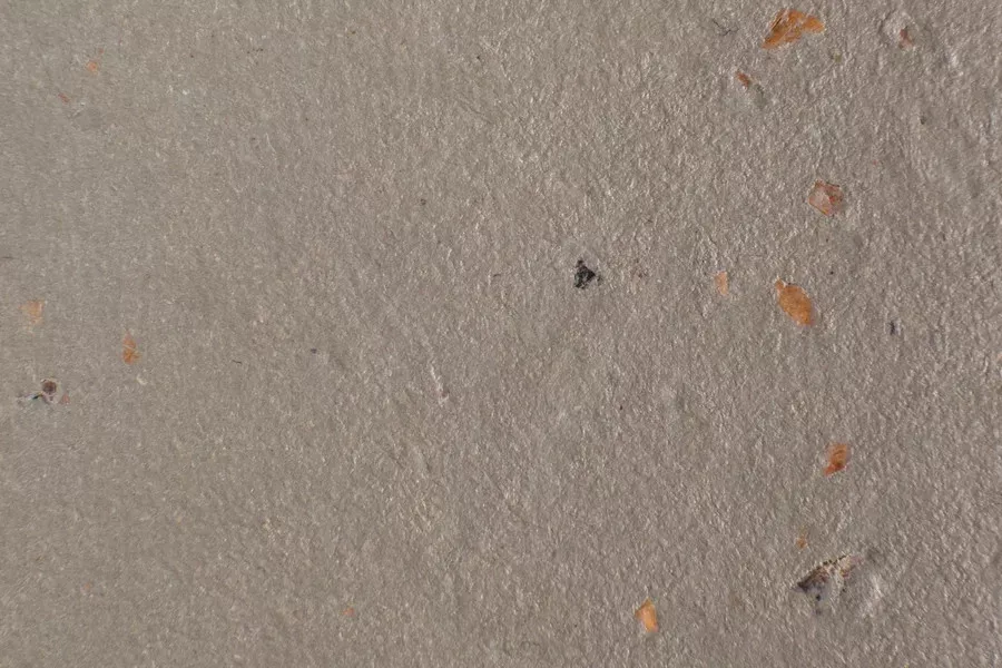 Forbo Marmoleum Solid Cocoa 3580-358035 milk chocolate фото 2 | FLOORDEALER