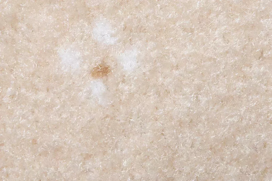 AW Animo AW Animo 34 фото 3 | FLOORDEALER