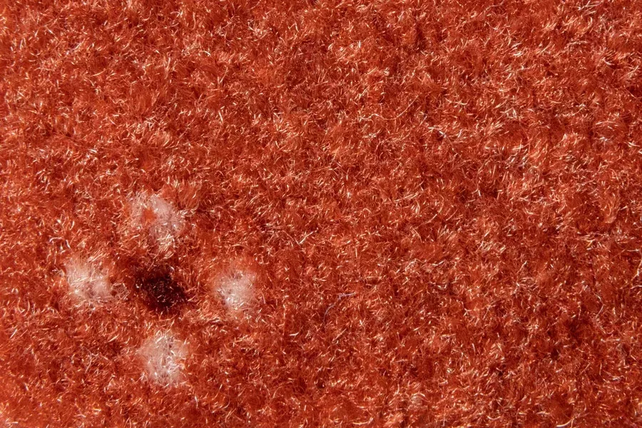 AW Animo AW Animo 88 фото 3 | FLOORDEALER