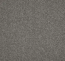 Ковролин AW Miracle 95 фото 1 | FLOORDEALER