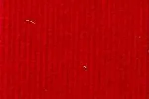 Ковролин ФлорТ Экспо 02004 Красный фото  | FLOORDEALER