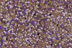 Ковровая плитка Halbmond Tiles & More 4 tm 4-047-02 фото  | FLOORDEALER