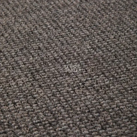 Ковролин Condor Dynamic 90 фото 1 | FLOORDEALER