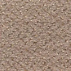 Ковролин Condor Carpets Argus 189 фото 1 | FLOORDEALER