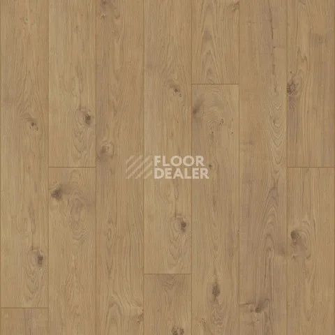 Kronotex Mammut d4152 Дуб Эверест Натуральный фото 5 | FLOORDEALER