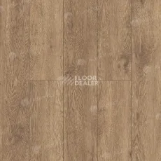 Кварцвиниловые полы Alpine Floor Grand Sequoia (1220x183) ГРАНД СЕКВОЙЯ ГЕВУИНА ECO 11-7 фото 1 | FLOORDEALER