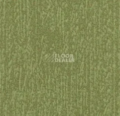 Ковролин Forbo Flotex Colour s 445027 Canyon Kelp фото 1 | FLOORDEALER