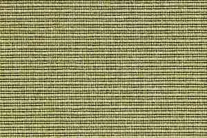 Ковролин Carpet Concept Eco 2 6733 фото  | FLOORDEALER