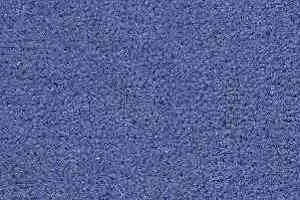 Ковролин Radici Montecarlo 98 фото  | FLOORDEALER