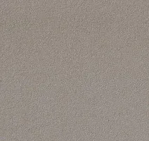 Линолеум Forbo Marmoleum Bulletin Board 2182 potato skin фото 1 | FLOORDEALER