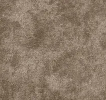 Ковролин AW Aspetto 49 фото 1 | FLOORDEALER