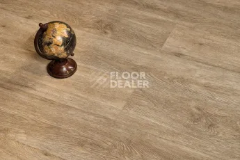 Alpine Floor Grand Sequoia (1220x183) ГРАНД СЕКВОЙЯ КАМФОРА ECO 11-5 фото 4 | FLOORDEALER
