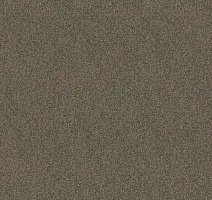 Ковролин Haima Lounge x 4454 фото 1 | FLOORDEALER