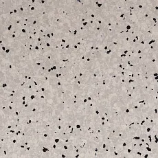 Линолеум Standard Conductive 802 Silver фото 1 | FLOORDEALER