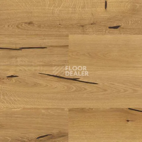 Wood Xl Oak  Accent фото 4 | FLOORDEALER
