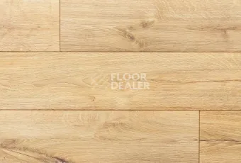 My Step Fortis MS412 Дуб Глессум фото 1 | FLOORDEALER