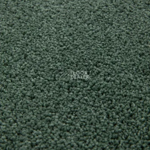 Haima Noble 71 фото 12 | FLOORDEALER
