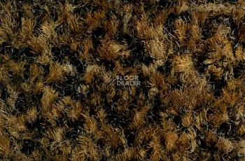 Forbo Coral Brush 5716 Masala Brown фото 2 | FLOORDEALER