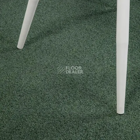 Haima Noble 71 фото 5 | FLOORDEALER