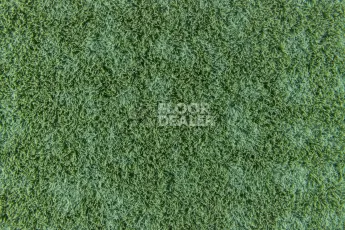Forbo Flotex Colour s 246037 Metro Apple фото 2 | FLOORDEALER