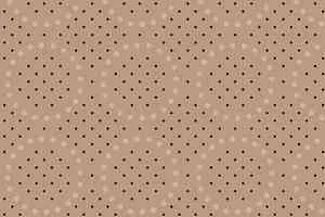 Ковролин Halbmond Step by Step 2 27658 фото  | FLOORDEALER