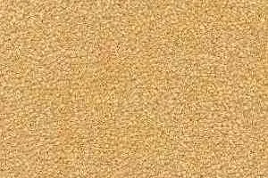 Ковролин Radici Montecarlo 15 фото  | FLOORDEALER